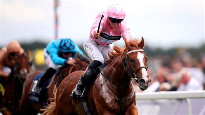 Crisfords take on Canada, appalling Ffos Las conditions and a Live In The Dream update before Breeders' Cup