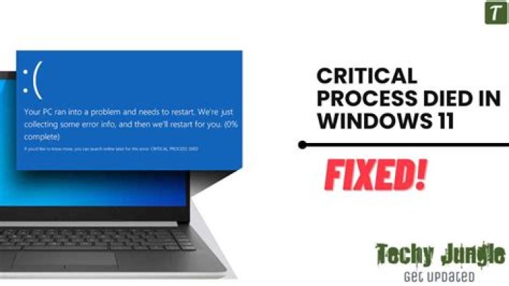 Critical Process Died Error on Windows 11: How to Fix It