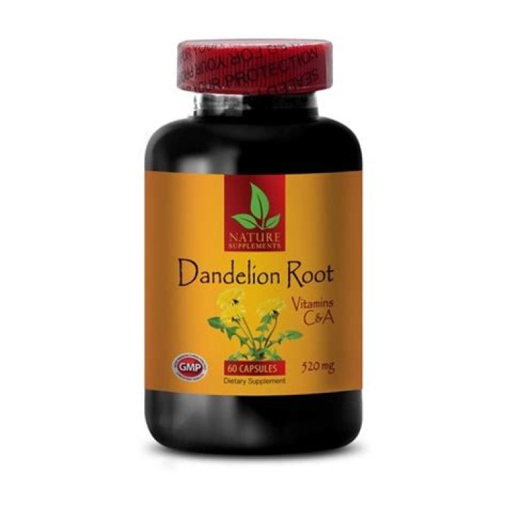 dandelion root weight loss