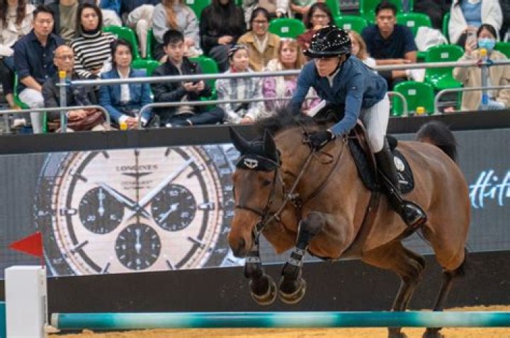 Danehill Kodiac chasing prize money in the Longines Hong Kong Vase on Sunday