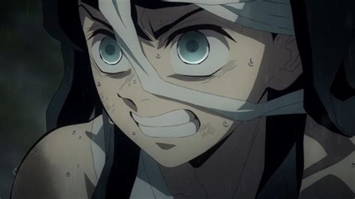 Demon Slayer: Kimetsu no Yaiba Season 3 Episode 9 Recap: Mist Hashira Muichiro Tokito