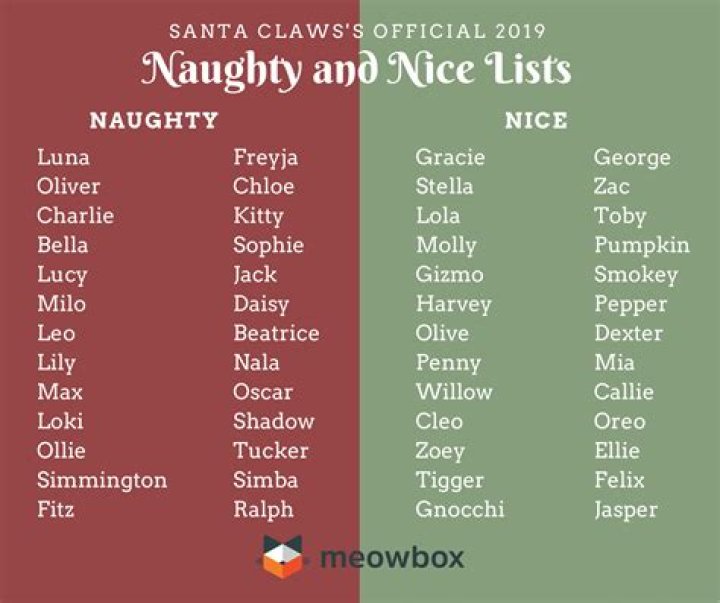 Did you make Santa’s 2020 naughty or nice list? Check here