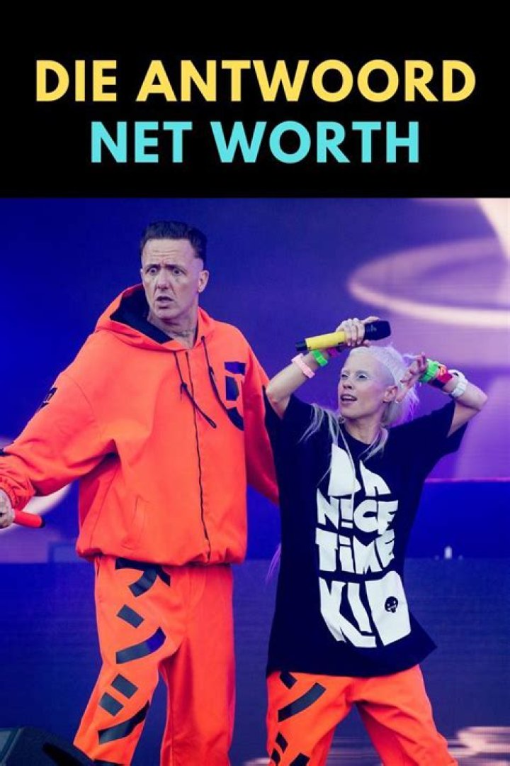 Die Antwoord Net Worth 2024