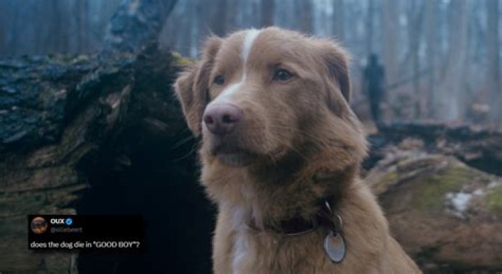 Does Mercy the dog die in The Last Of Us episode 1?