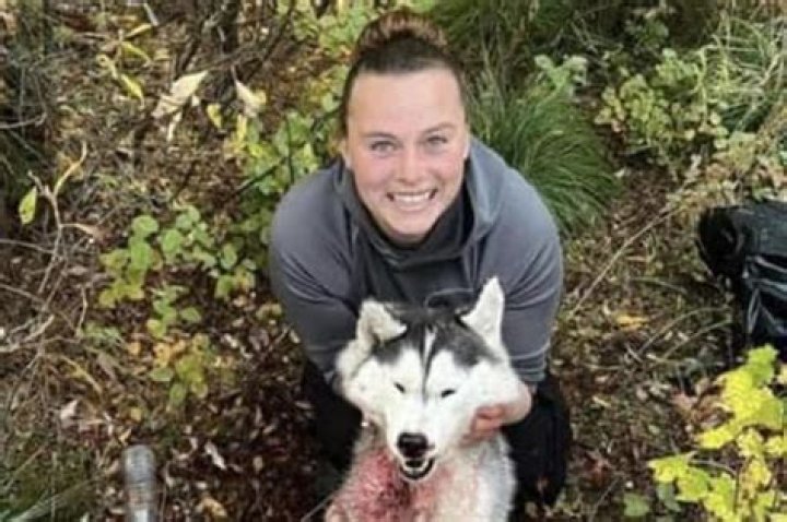 Dog owner, 35, in court after her pet 'mauled another woman' before 'impersonating victim to avoid charges'