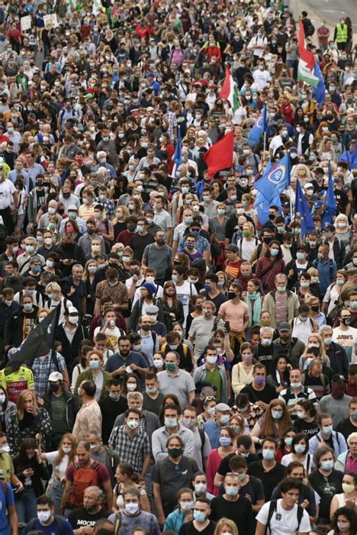 Dozens resign at Hungary’s main news site after editor fired