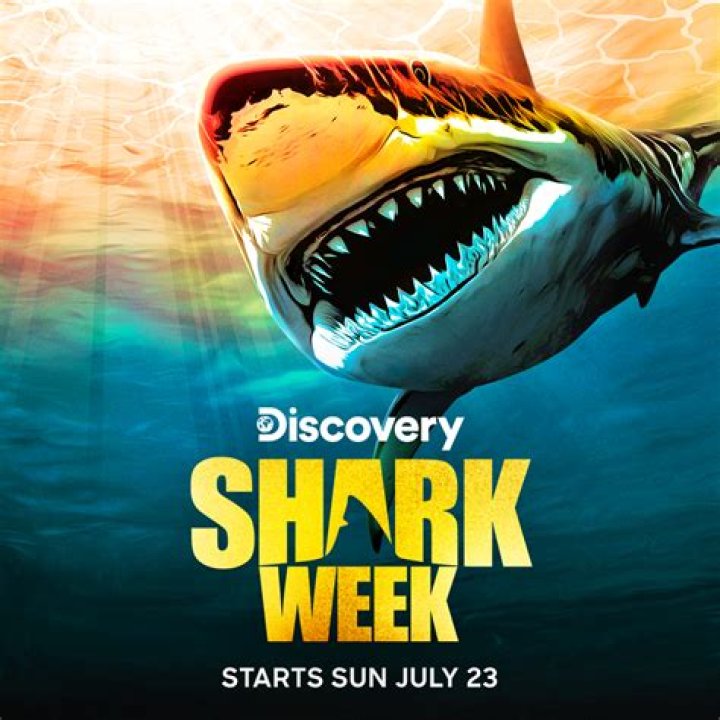 Dr. Austin Gallagher Talks His New Shark Week Specials for Discovery Channel