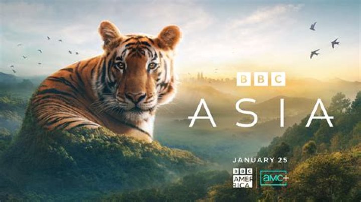 Dynasties behind the scenes: how was the BBC nature series filmed? Secrets of David Attenborough documentary revealed. BBC1, BBC America, AMC, TVNZ 1