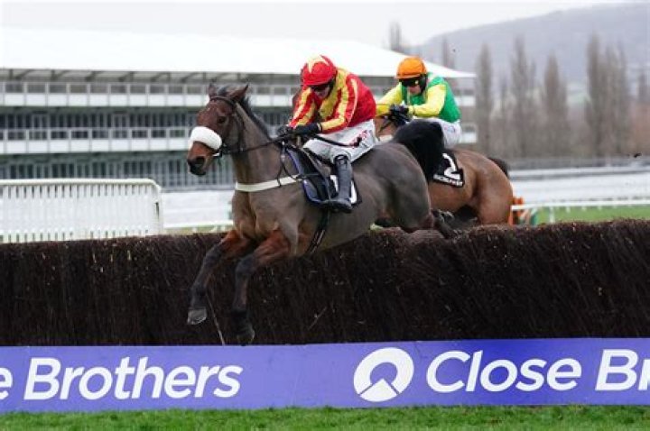 Evan Williams takes Cheltenham feature as Coole Cody gets revenge but Sam Twiston-Davies steals show with interview