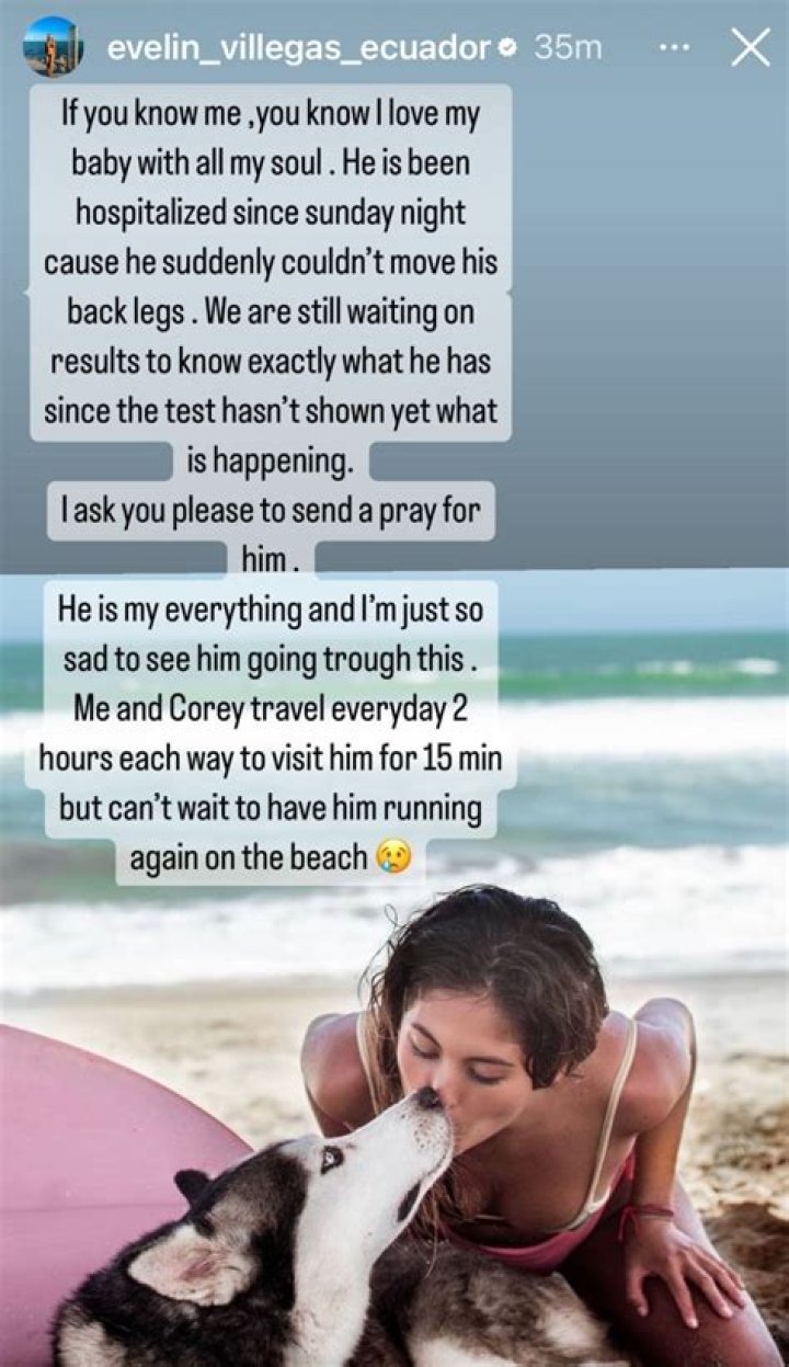 Evelin Villegas devastated as her ‘baby’ is hospitalized, asks fans for prayers