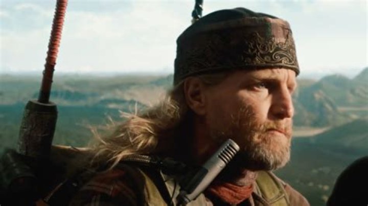 Every Woody Harrelson Movie Ranked Worst To Best