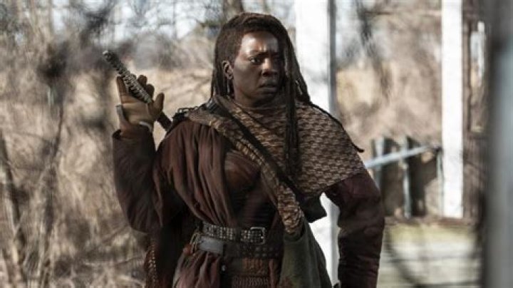 Everything to Know About Michonne
