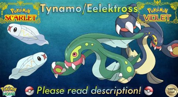 Evolve Eelektrik into Eelektross in Pokémon Scarlet and Violet