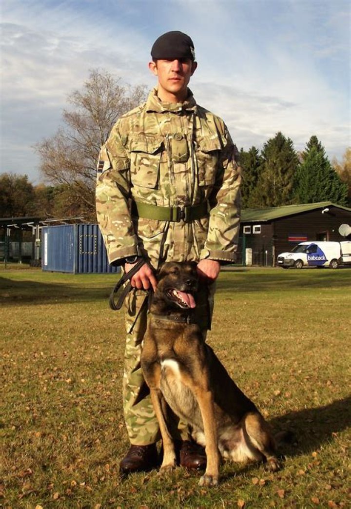 Ex-Army dog handler suing MoD for £200k after 'facing two years of sexual harassment and bullying'