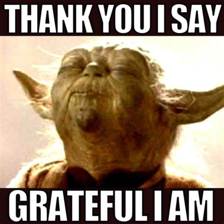 Exploring The Joy Of Gratitude: Understanding Thank You Memes