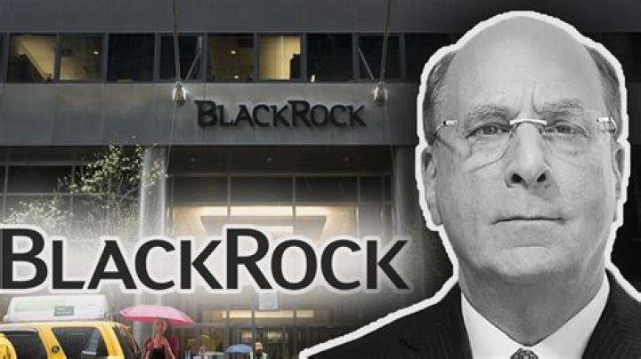Exploring The Life And Legacy Of BlackRock Owner's Son
