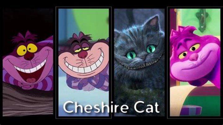 Exploring The World Of Cat Movies In HD: A Comprehensive Guide