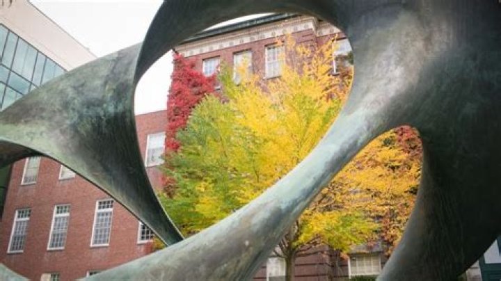Faculty Hold Forums on the Middle East Crisis