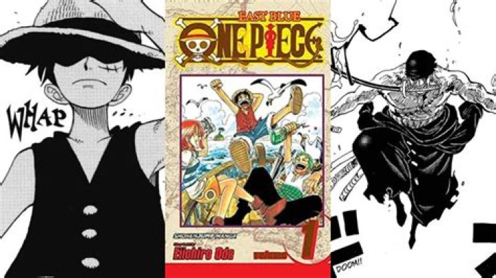 Fans Can't Believe One Piece's Anime Turns 20 Years Old Today