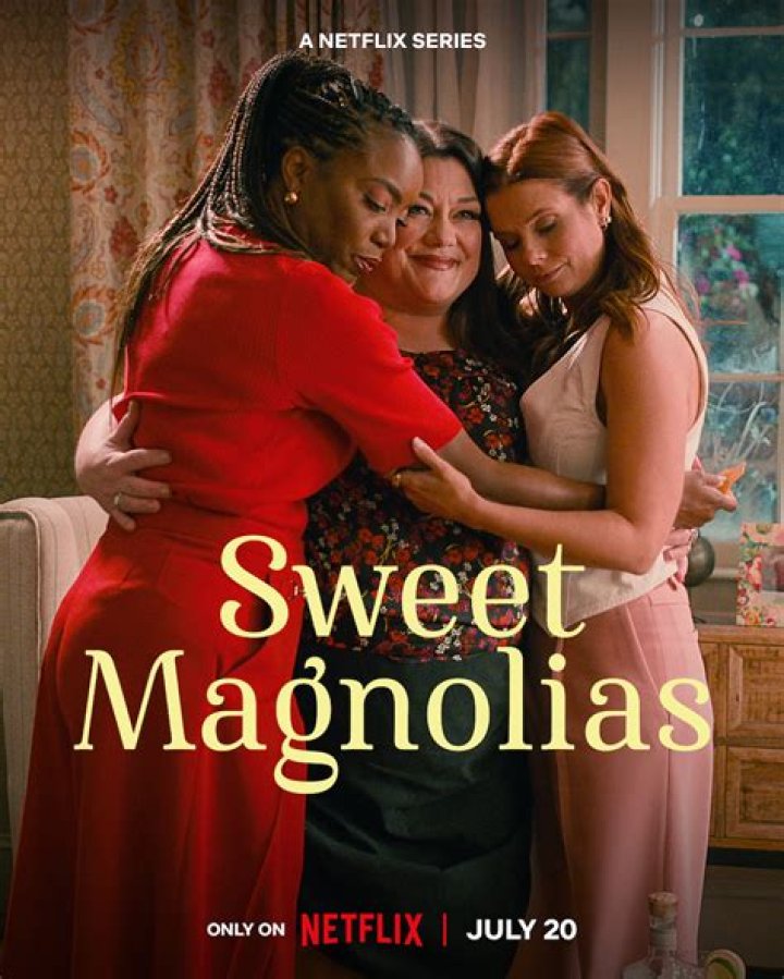 Fans Of Sweet Magnolias Just Got The News They've Been Waiting For