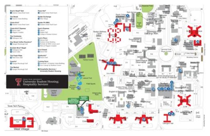Fast & Reliable Internet in Texas Tech University, Texas from Optimum