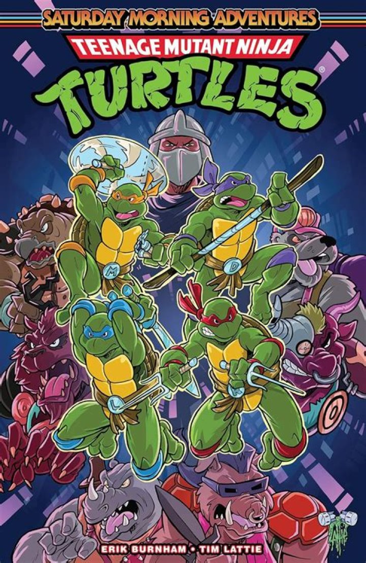 Female Ninja Turtle Coming to TMNT Comic