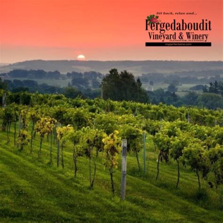 Fergedaboudit Vineyard and Winery | Galena, Illinois