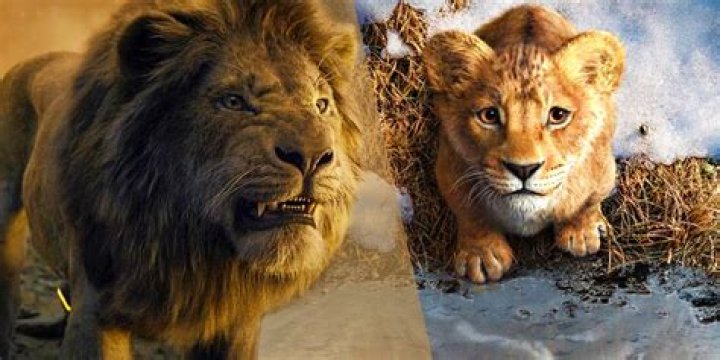 First Castings Revealed for Prequel to Lion King Remake