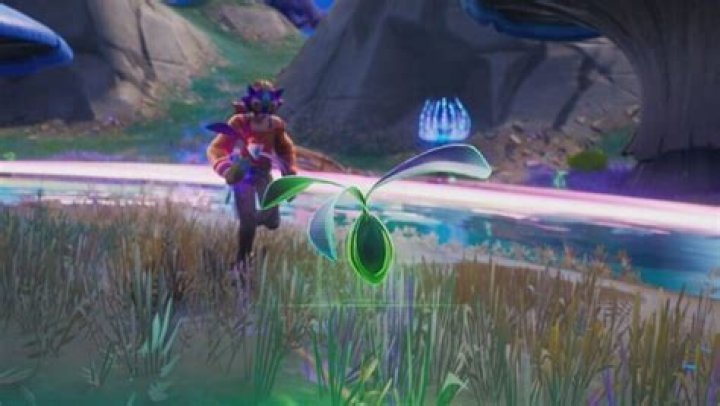 Fortnite: How to Pick Weeds in Reality Saplings