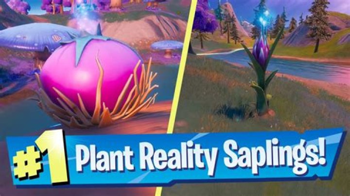 Fortnite: Where to Plant Reality Seeds