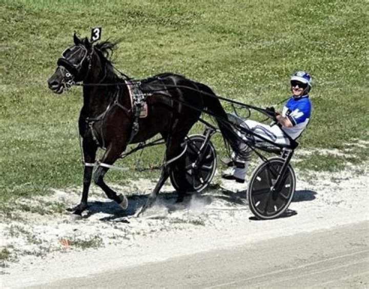 Fred Wagner Obituary: Iowa Harness Racing longtime owner Fred Wagner dies at 85