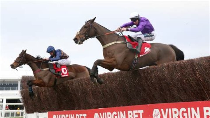 Fugitif finally gets his head in front at Cheltenham after last-gasp defeat of Il Ridoto in December Gold Cup