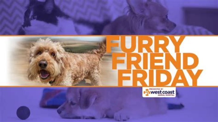 Furry Friends Friday | QC Paws 