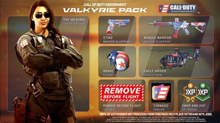 GameStop & Call of Duty Endowment Help Get Jobs for Vets