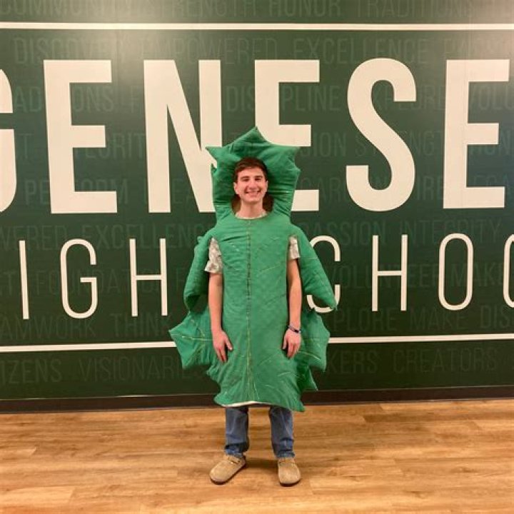 Geneseo Maple Leafs beat Alleman Pioneers in Western Big Six action, 2-0