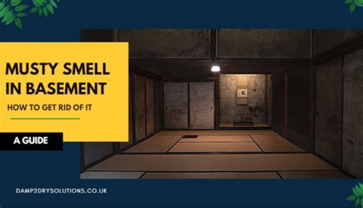 Get Rid of Musty Basement Smell: Experts Reveal Easy Ways