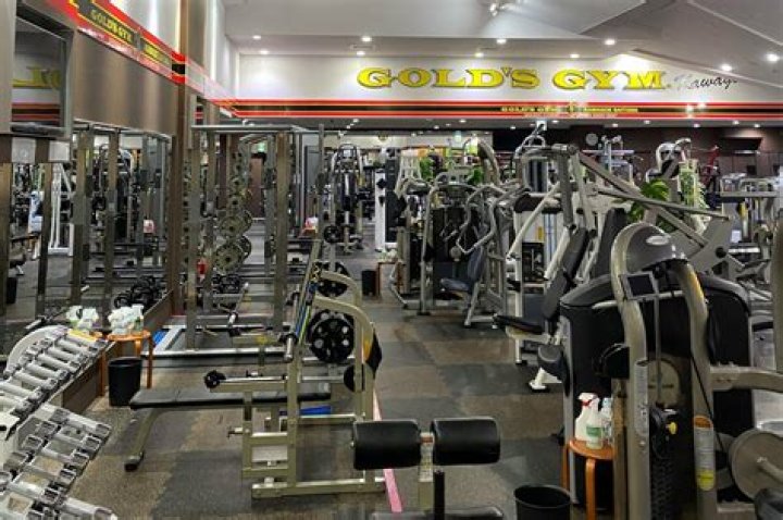 Gold’S Gym Net Worth 2024