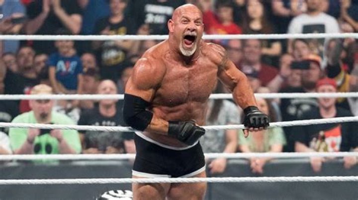 Goldberg is overrated | WrestleZone Forums