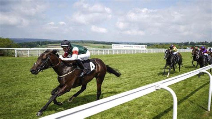 Goodwood, Haydock and York: what time is the horse racing on ITV4 TODAY?