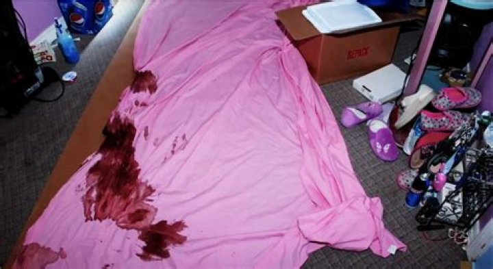 Gypsy Rose Crime Scene Photos: A Deep Dive Into The Gory Details