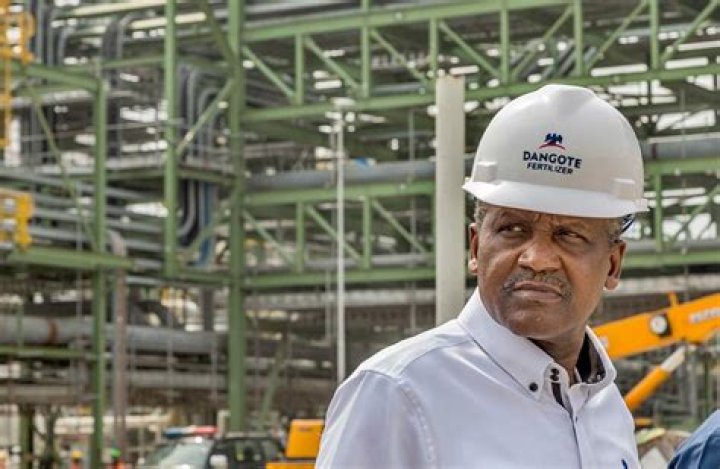 Halima Dangote Net Worth 2024