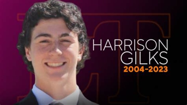 Harrison Gilks: Wiki, Bio, Age, TikTok Star, Death, Net Worth