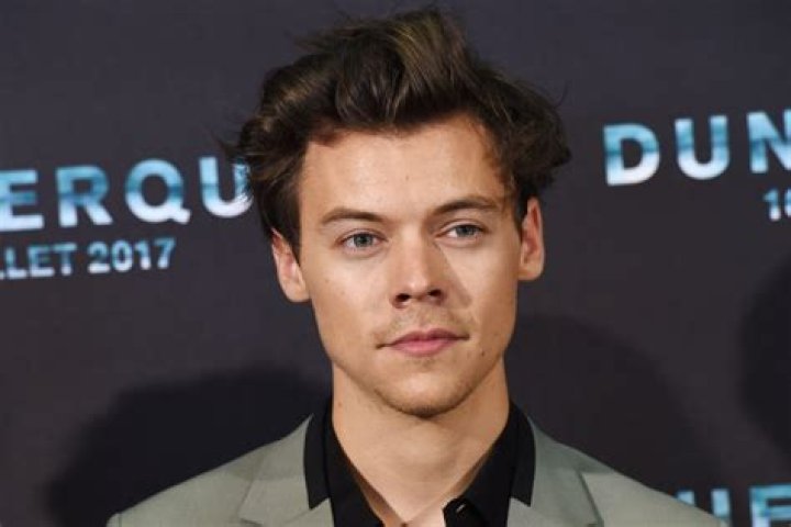Harry Styles reveals he only took ONE naked photo after stripping off for new album – The Sun