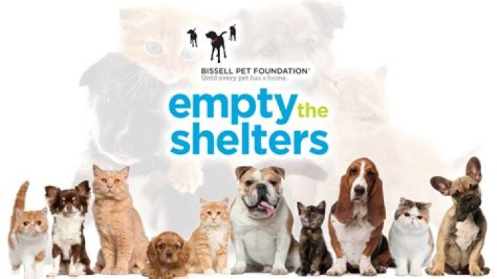 Help Clinton Humane Society Empty the Shelters!