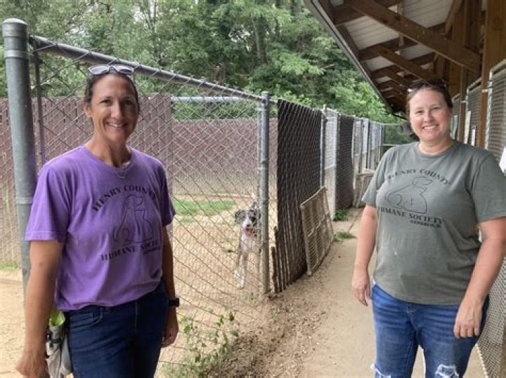 Henry County Humane Society-Kewanee president speaks out, defends running of animal shelter