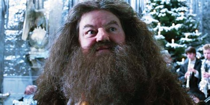 Here's What Hagrid From 'Harry Potter' Looks Like IRL