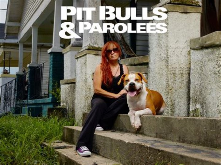 Here is Why Dr. Kristen Is not On Pitbulls and Parolees Anymore