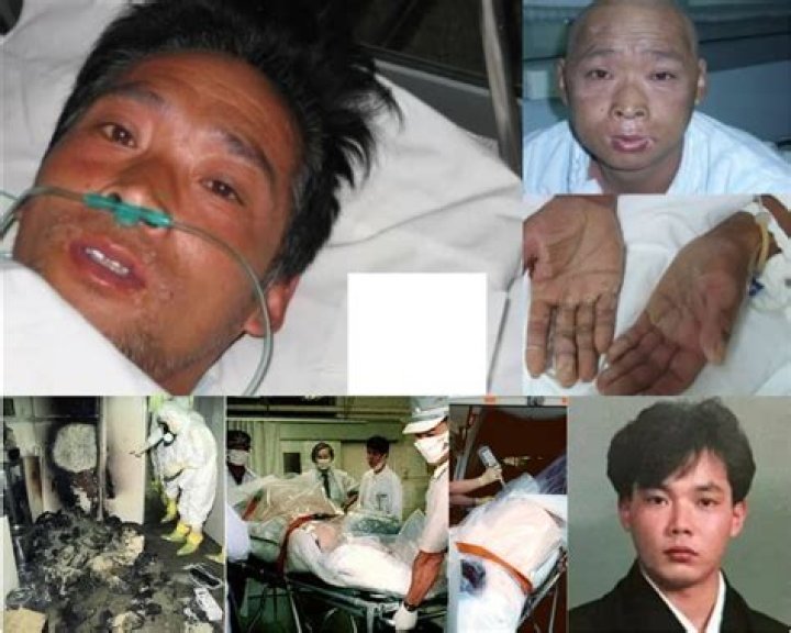Hisashi Real Photos Day 80: A Journey Through 80 Days Of Captivating Moments