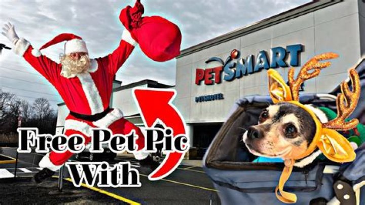 Holiday fun and free photos with Santa for furry friends (and kids) at King’s Harvest Pet Rescue open house