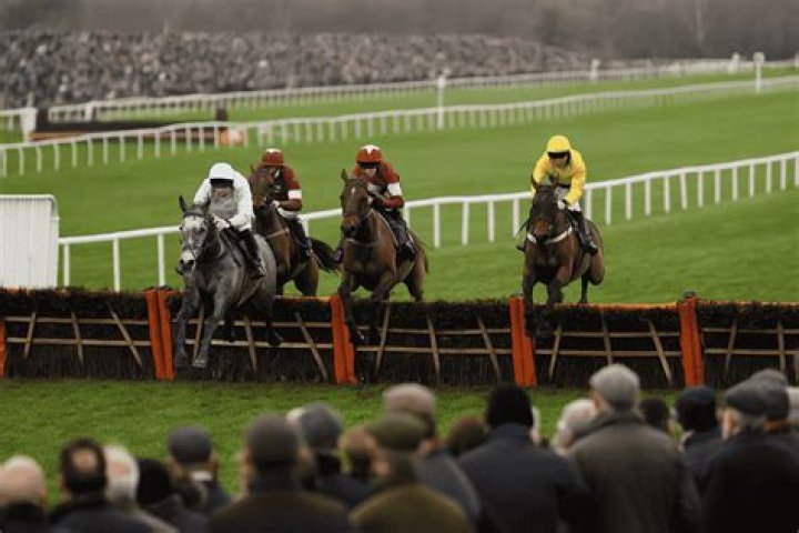 Horse racing tips: Longer trip the key to unlocking this Venetia Williams runner at 15-2
